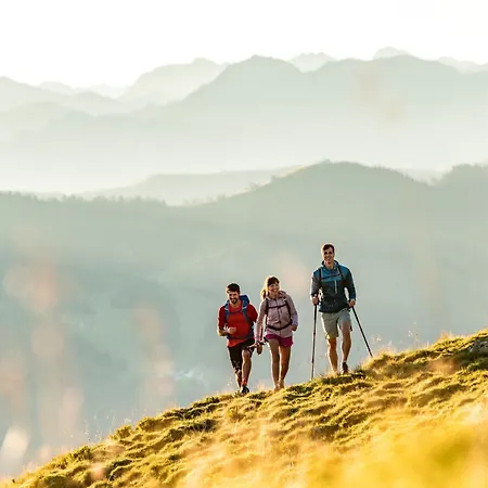 Schuetzenhof 플라차우