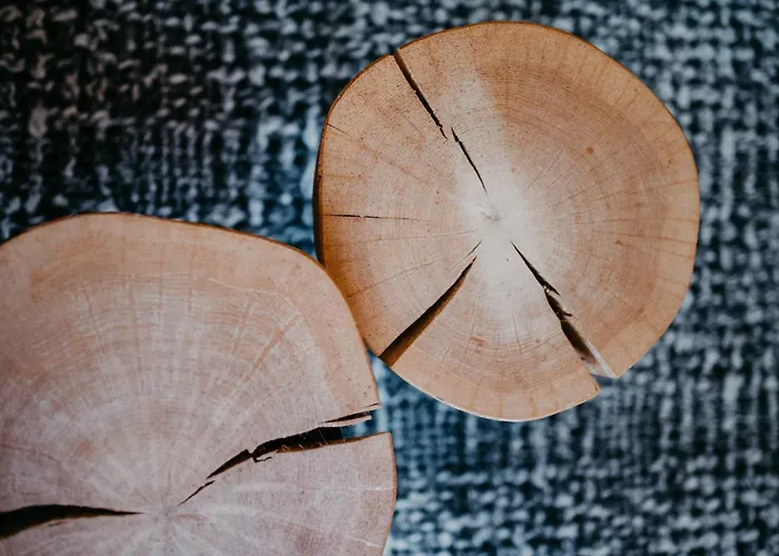 호텔 Schuetzenhof 플라차우