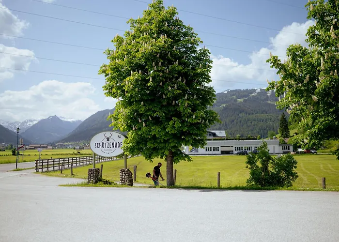 Schuetzenhof 3* 플라차우